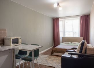 Квартира в аренду студия, 25 м2, Томск, Большая Подгорная улица, 87