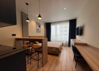Продается квартира студия, 24.8 м2, Санкт-Петербург, проспект Энергетиков, 8к1, метро Ладожская