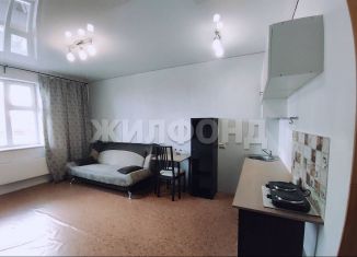 Продажа квартиры студии, 22.4 м2, Новосибирская область, улица Твардовского, 22/3