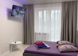 Сдам в аренду 1-комнатную квартиру, 41 м2, Сыктывкар, улица Пушкина, 65, ЖК Графика