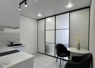 Продам квартиру студию, 25 м2, Краснодар, улица Евгении Жигуленко, 7
