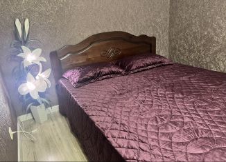 Сдаю в аренду 1-ком. квартиру, 43 м2, Ярославль, улица Панина, 5к6