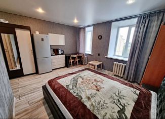 Продажа квартиры студии, 22 м2, Санкт-Петербург, Боровая улица, 58, муниципальный округ Волковское