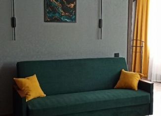 Сдам в аренду двухкомнатную квартиру, 44 м2, Новгородская область, Большая Санкт-Петербургская улица, 13