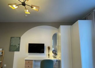 Сдается в аренду квартира студия, 25 м2, Колпино, Балканская дорога, 14к2