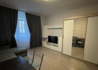 Сдается в аренду квартира студия, 25 м2, Мурино, Петровский бульвар, 14к3