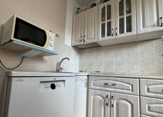 Продается 2-комнатная квартира, 51 м2, Новосибирская область, улица Иванова, 35А