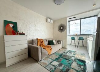 Продается квартира студия, 28.2 м2, Сочи, Виноградная улица, 22/1А, микрорайон Новый Сочи