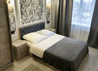 Сдается в аренду 1-комнатная квартира, 40 м2, Пенза, улица Терновского, 114, Первомайский район