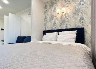 Сдам квартиру студию, 22.5 м2, Ростов-на-Дону, улица Мечникова, 41/53