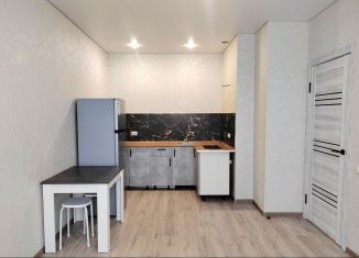 Продается однокомнатная квартира, 38 м2, поселок Южный, Екатерининская улица, 1к2