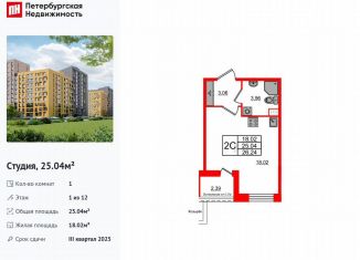 Продам квартиру студию, 25 м2, Санкт-Петербург, метро Озерки