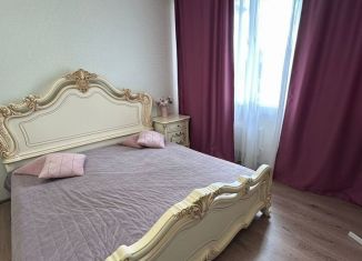 Сдается в аренду 1-комнатная квартира, 41 м2, Новосибирская область, улица Кирова