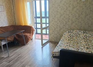 Сдаю квартиру студию, 25 м2, Псков, улица Юности, 24, ЖК Смарт-квартал