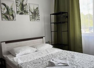 Сдаю в аренду квартиру студию, 25 м2, Курчатов, улица Ефима Славского