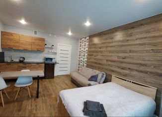 Продам квартиру студию, 29 м2, Новгородская область, улица Арциховского, 11к1