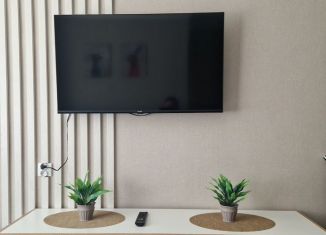 Сдаю однокомнатную квартиру, 30 м2, Йошкар-Ола, улица Якова Эшпая, 135