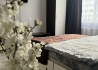 Сдаю 1-комнатную квартиру, 27 м2, Великий Новгород, Волотовская улица, 7