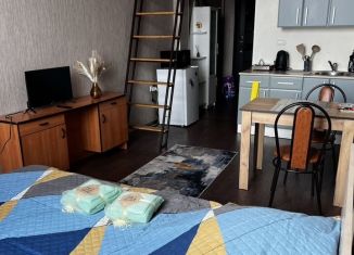 Сдается квартира студия, 21 м2, Бийск, Иркутская улица, 1/3