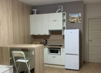 Квартира на продажу студия, 25.4 м2, Мурино, Петровский бульвар, 11к1