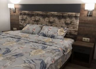 Сдаю квартиру студию, 40 м2, Сириус, Цимлянская улица, 5