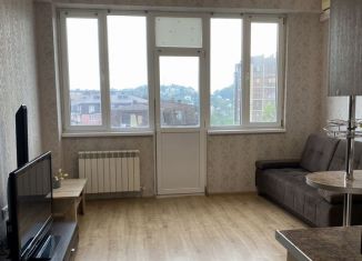 Продается квартира студия, 28 м2, Сочи, улица Тимирязева, 53, микрорайон Донская