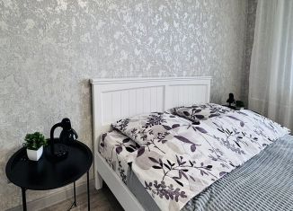 Сдаю в аренду квартиру студию, 33 м2, Краснодар, Колхозная улица, 5/1, микрорайон Табачная Фабрика