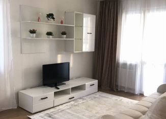 Сдается 2-комнатная квартира, 53 м2, Санкт-Петербург, улица Дыбенко, ЖК Цивилизация