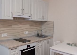 Квартира в аренду студия, 29 м2, Мурино, Охтинская аллея, 14