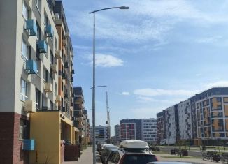 Продаю 1-ком. квартиру, 26.4 м2, деревня Глухово, Романовская улица