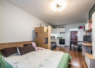 Продаю квартиру студию, 26.5 м2, городской посёлок Янино-1, Голландская улица, 6, ЖК Новое Янино