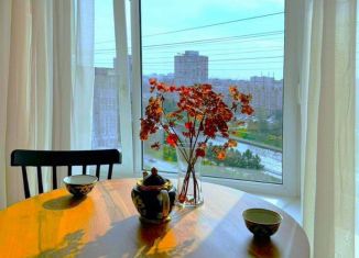 Сдается 1-комнатная квартира, 35.6 м2, Санкт-Петербург, Новосмоленская набережная, 1