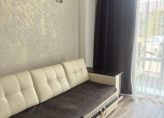 Сдается однокомнатная квартира, 36 м2, Республика Башкортостан, Курортная улица, 10