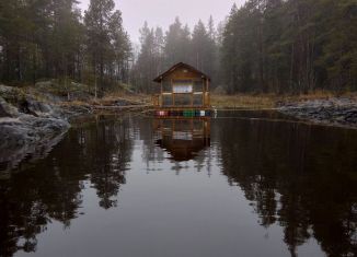 Сдается дом, 12 м2, деревня Хийденсельга, Садовая улица, 13