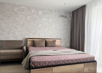 Сдаю в аренду квартиру студию, 30 м2, Благовещенск, Заводская улица, ЖК Лазурный Берег