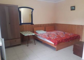 Сдаю в аренду квартиру студию, 21 м2, Сочи, улица Кошевого, 1, микрорайон Соболевка