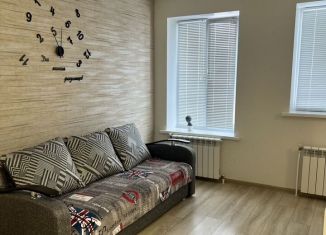 Сдам квартиру студию, 26 м2, Алексеевка, Слободская улица, 105