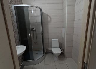 Продажа квартиры студии, 30 м2, Сертолово, ЖК Новое Сертолово, улица Мира, 11к5