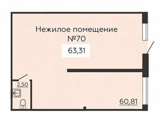 Продаю помещение свободного назначения, 63.31 м2, Воронеж, улица Лётчика Колесниченко, 67, Ленинский район