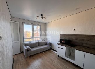 Продам 1-комнатную квартиру, 37 м2, Краснодар, улица Ивана Беличенко, 87, ЖК Самолёт-3