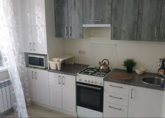 Сдам в аренду однокомнатную квартиру, 44 м2, Йошкар-Ола, улица Панфилова, 33Б, микрорайон Панфиловский