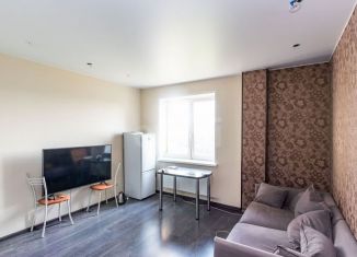 Продам однокомнатную квартиру, 39.5 м2, деревня Дударева, улица Созидателей, 16