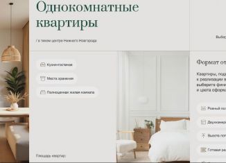 Продажа 1-комнатной квартиры, 38.8 м2, Нижний Новгород, метро Горьковская