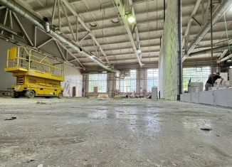 Помещение свободного назначения на продажу, 1401 м2, Санкт-Петербург, Чкаловский проспект, 15, Петроградский район