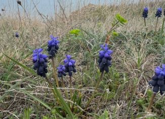 Продам земельный участок, 22 сот., село Ключи