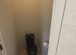 Сдача в аренду дома, 45 м2, Республика Алтай, улица Трофимова