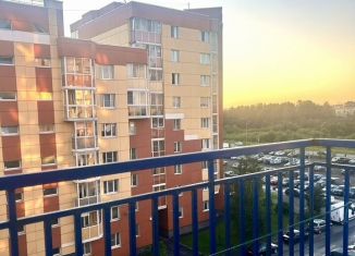 Сдача в аренду 1-ком. квартиры, 41 м2, поселок Бугры, Школьная улица, 6к1