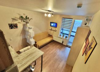 Квартира на продажу студия, 20 м2, Воронеж, улица Загоровского, 1, ЖК Россия - Пять столиц