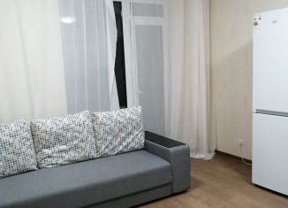 Сдается в аренду квартира студия, 25 м2, Воронеж, ЖК Россия - Пять столиц, улица Загоровского, 1