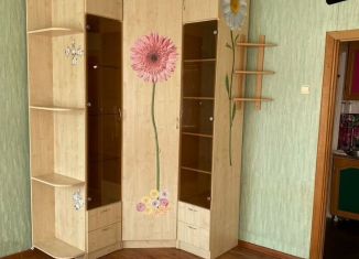 Сдам 1-комнатную квартиру, 24 м2, Гатчина, улица Чкалова, 41